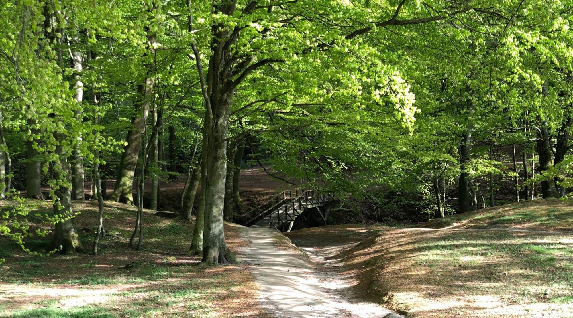 Gasthuis Rolykke